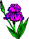 [Flowers]